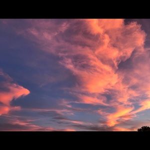 Meet your Posher, Halley